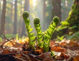 Sunlit ferns unfurling new life among fallen leaves in a tranquil forest