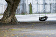 A black tire swing hangs from an old tree in Xian Guang Military Kindred Village Cultural Park, Taoyuan City, Taiwan, blending nature with nostalgic play.