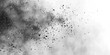 © lela - Monochromatic abstract image depicting a dense cloud of dark particles dispersed against a stark white background, suggesting a sense of movement and explosion