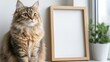 © icik icik bum - Elegant long-haired cat posing beside a blank picture frame near a window sill indoors