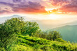 highland mountain landscape of beautiful sunset or sunrise with nice mountain peaks and slopes, green and golden hills and majestic cloudy sky on background