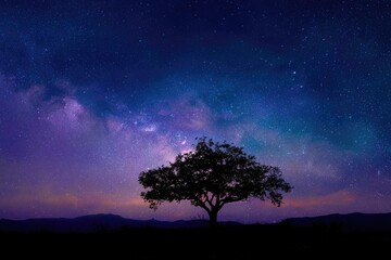Wall Mural - Silhouetted tree under vibrant night sky
