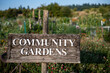 © Jessie - Close up of a wooden rustic community garden sign with shallow depth of field and garden behind.