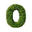© Nur - Circular wreath shaped like the letter O, made of small, light green leaves