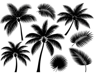 Elegant palm tree silhouette collection for summer and tropical designs