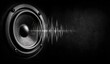 © Hardian - Close-up of a black speaker emitting a sound wave against a dark background