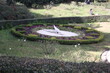 garden in the park