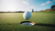 © HoneyStock - Golf ball falling into the hole on the green with a beautiful background on a sunny day on the course golf