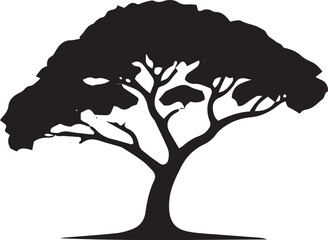Silhouette of a majestic acacia tree with sprawling branches against a light background