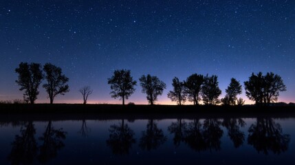 Wall Mural - Under a clear night sky, stars twinkle above a serene body of water. Silhouettes of trees line the shore, mirroring their shapes in the still water below.