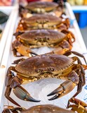 Fresh crabs on ice at a market