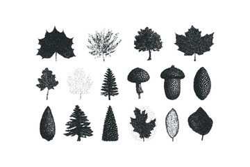 Wall Mural - Collection of stippled autumn leaves and trees on transparent background. Vector hand drawn illustration