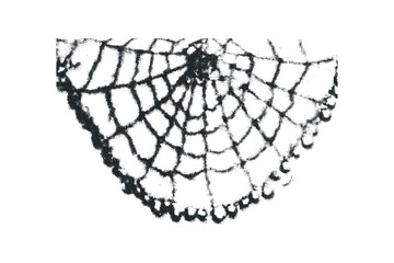 Intricate spider web detail with halftone texture on transparent. Vector hand drawn illustration