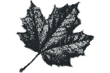 Wall Mural - Monochromatic Halftone Maple Leaf Shape on White. Vector hand drawn illustration