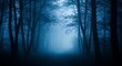 © cika - Mysterious Blue Foggy Forest Path.