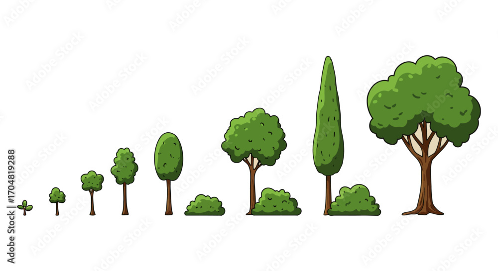 tree growth stages illustration showing development from sapling to ...