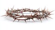 © Anca - The Crown of Thorns: A poignant representation of resilience and spirituality, the crown of thorns, meticulously crafted, rests gently, its sharp barbs stark against the quiet background.Genetative Ai