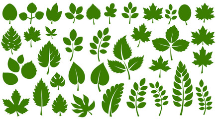 vector set of green leaves