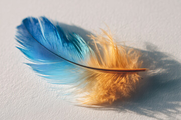 Wall Mural - single feather with gradient colors lying on plain surface