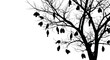 © siti - Silhouette of tree with many black birds perching, hanging and resting within the leafless
