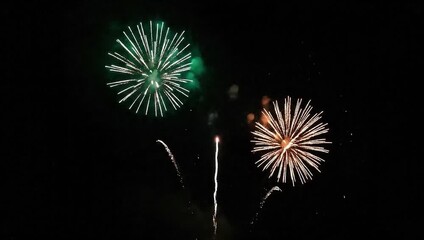 Wall Mural - fireworks in the night sky