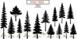 © Md Shahedul - Pine tree vector illustration, forest silhouette artwork, handmade nature drawing, evergreen tree design, woodland graphic, landscape element, ink sketch