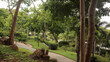 A Small Park in Pattaya City