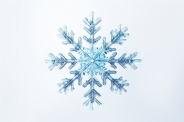 Canvas Print - snowflake winter white celebration.