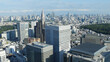 Day view of the Tokyo skyline from above, panoramic view of Tokyo, Japan