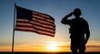 © Ruman - Photo of silhouette of a soldier saluting the american flag at sunset