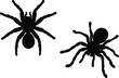 © MDABDULLAHAL - Vector silhouettes of two spiders, black tarantula insect illustrations, isolated arachnid shapes perfect for Halloween, science graphics, nature themes, or creepy decor