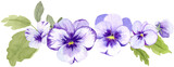 Purple Pansies Border Watercolor Illustration on Isolated Background Clipart Hand Drawn and Painted