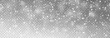 © Iryna - Winter background with falling snowflakes isolated on transparent background, vector png. Snowfall, blizzard, snow storm, snow hurricane. Snowflakes.