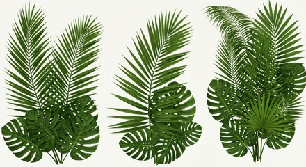 Summer Tropical Palm Leaves with Exotic Palm Tree Fronds Isolated on Transparent Background for Tropical Foliage, Summer Design, and Vector Illustration