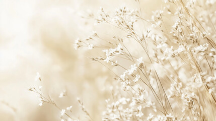 Ethereal tranquil grass seed heads close-up with soft light and dreamy blurred background, delicate textures and warm cinematic tones, minimalist natural beauty