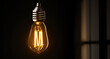 © suyoko - Vintage Edison Light Bulb with Warm Glow in Dark Background