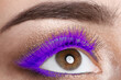 © New Africa - Young woman with beautiful purple eyelashes, closeup