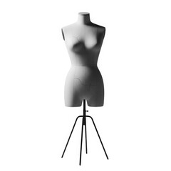 Realistic female mannequin torso isolated on transparent background isolated on transparent background