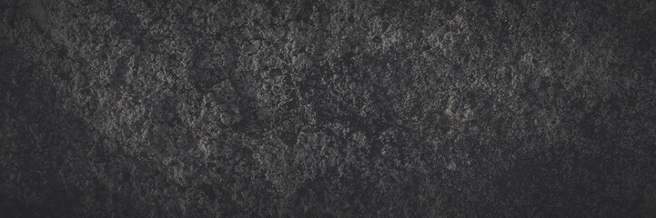 Wall Mural - Faded dark wide panoramic background for design. Natural texture of a stone covered with lichen.