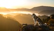 © Yanto - Husky dog on mountaintop at sunrise