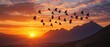 © Xava - Birds fly sunset mountain view