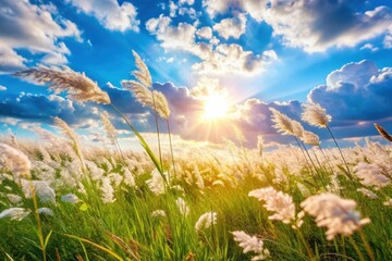 Wall Mural - Serene Sunset Illuminates a Field of Delicate, Windswept Grasses, Bathed in Golden Light