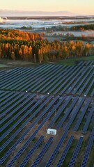 Wall Mural - Neat lines of solar panels shot from the air at dawn. The sun softly touches the tree tops behind the solar farm.