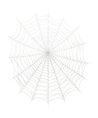 Spider web with a refined, elegant design