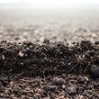 © Suta - Close-up view of rich, dark soil, revealing intricate root systems and a textured surface.