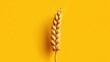 © Jayk - Close-up of a golden wheat ear against a vibrant yellow background.