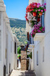 Typical street of an Andalusian village Capileira.