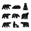 © Sojib - Vector art of silhouette set of polar bears collection of different poses of arctic animals vector monochrome illustration