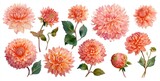 Floral arrangement of various peachy-orange dahlias and leaves