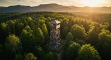 Wooden observation tower in forest